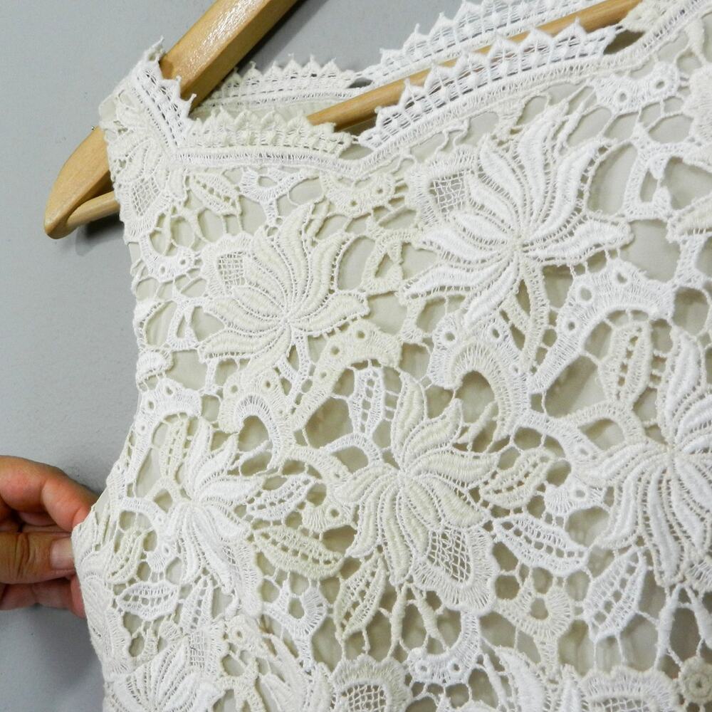 Ann Taylor‎ Bateau Lace Dress Size 0 Ivory Cream Antique Beige Broderie Sheath - Picture 5 of 11